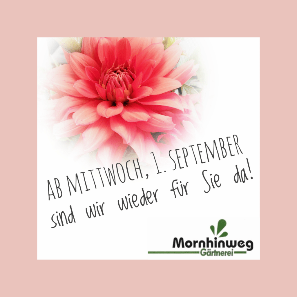 Ab Mittwoch, 1. September sind wir wieder für Sie da!